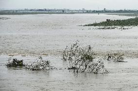 Aftermath of heavy rain in N. Korea