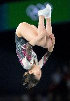 Paris Olympics: Trampoline Gymnastics