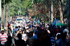 Cherry Blossom Festival In São Paulo