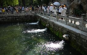 CHINA-JINAN-SPRINGS (CN)