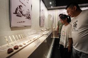 CHINA-LIAONING-NIUHELIANG SITE-MUSEUM-REOPENING (CN)