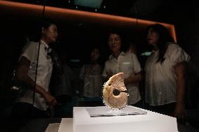 CHINA-LIAONING-NIUHELIANG SITE-MUSEUM-REOPENING (CN)