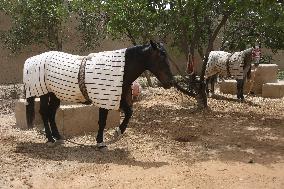 AFGHANISTAN-BALKH-HORSE KEEPING