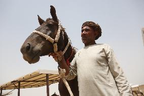 AFGHANISTAN-BALKH-HORSE KEEPING