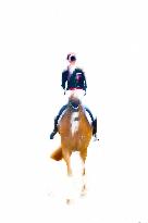 Paris 2024 - Equestrian Dressage Team Final