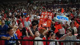 Zheng Qinwen Victory in the Women's Singles Final of the Paris Olympic Games