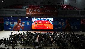 Zheng Qinwen Victory in the Women's Singles Final of the Paris Olympic Games