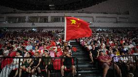 Zheng Qinwen Victory in the Women's Singles Final of the Paris Olympic Games