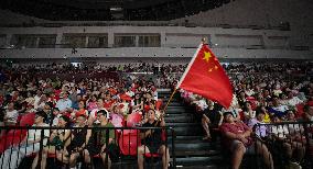 Zheng Qinwen Victory in the Women's Singles Final of the Paris Olympic Games