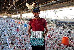 SYRIA-DAMASCUS-POULTRY