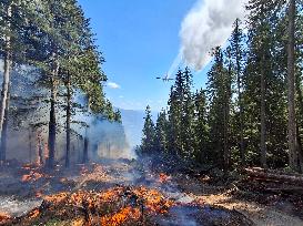 Wildfires in British Columbia - Canada