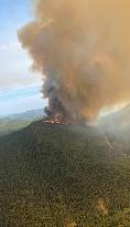 Wildfires in British Columbia - Canada