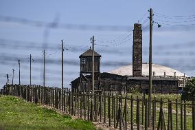 80th Anniversary Of Liberation Of German Nazi Majdanek Concentration And Extermination Camp