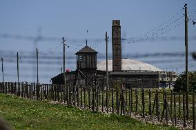 80th Anniversary Of Liberation Of German Nazi Majdanek Concentration And Extermination Camp