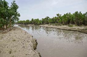 CHINA-XINJIANG-TARIM RIVER-FLOOD CONTROL-WATER LEVEL ALERT  (CN)