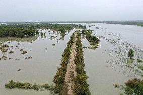 CHINA-XINJIANG-TARIM RIVER-FLOOD CONTROL-WATER LEVEL ALERT  (CN)