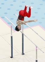 Paris Olympics: Artistic Gymnastics