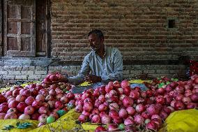 Apple Harvesting In Kashmir