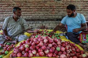 Apple Harvesting In Kashmir