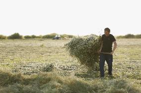 KAZAKHSTAN-AKMOLA-GRASS MOWING SEASON