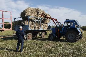 KAZAKHSTAN-AKMOLA-GRASS MOWING SEASON