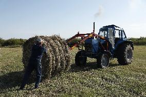 KAZAKHSTAN-AKMOLA-GRASS MOWING SEASON