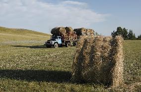 KAZAKHSTAN-AKMOLA-GRASS MOWING SEASON