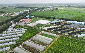 CHINA-JILIN-CHANGCHUN-AGRICULTURE-INNOVATION (CN)