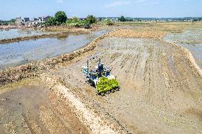 CHINA-HUNAN-XIANGTAN-RICE TRANSPLANTING (CN)