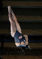 (PARIS2024)FRANCE-SAINT-DENIS-OLY-DIVING