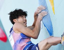 Paris Olympics: Sport Climbing