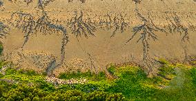 Yellow River Sand Painting