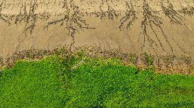 Yellow River Sand Painting