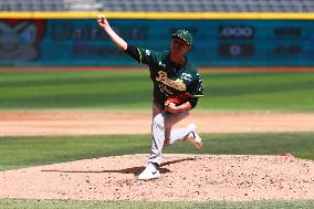 LMB: Pericos De Puebla At Diablos Rojos