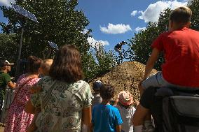 FMB Dirt Jump Competition At Rzeszow Bike Festival 2024