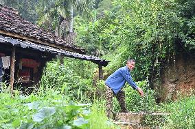 CHINA-GUANGXI-LONGLIN-PINGLIU VILLAGE-GANLAN BUILDINGS (CN)