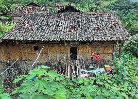 CHINA-GUANGXI-LONGLIN-PINGLIU VILLAGE-GANLAN BUILDINGS (CN)