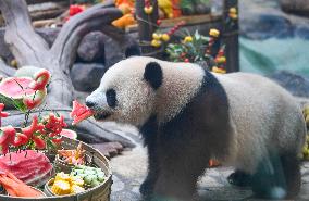 Baby Pandas Enjoy Birthday Feast - China