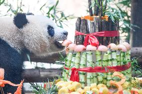 Baby Pandas Enjoy Birthday Feast - China