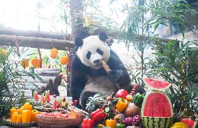 Baby Pandas Enjoy Birthday Feast - China