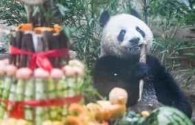 Baby Pandas Enjoy Birthday Feast - China