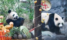 Baby Pandas Enjoy Birthday Feast - China