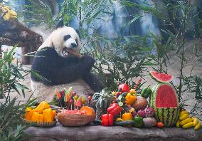 Baby Pandas Enjoy Birthday Feast - China