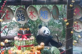 Baby Pandas Enjoy Birthday Feast - China