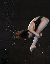 Paris Olympics: Diving