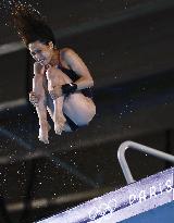 Paris Olympics: Diving