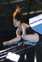 Paris Olympics: Diving