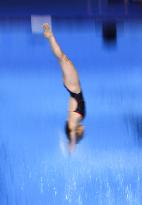 Paris Olympics: Diving