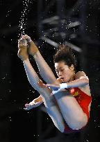 Paris Olympics: Diving