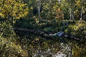 Daily Life In Muskoka